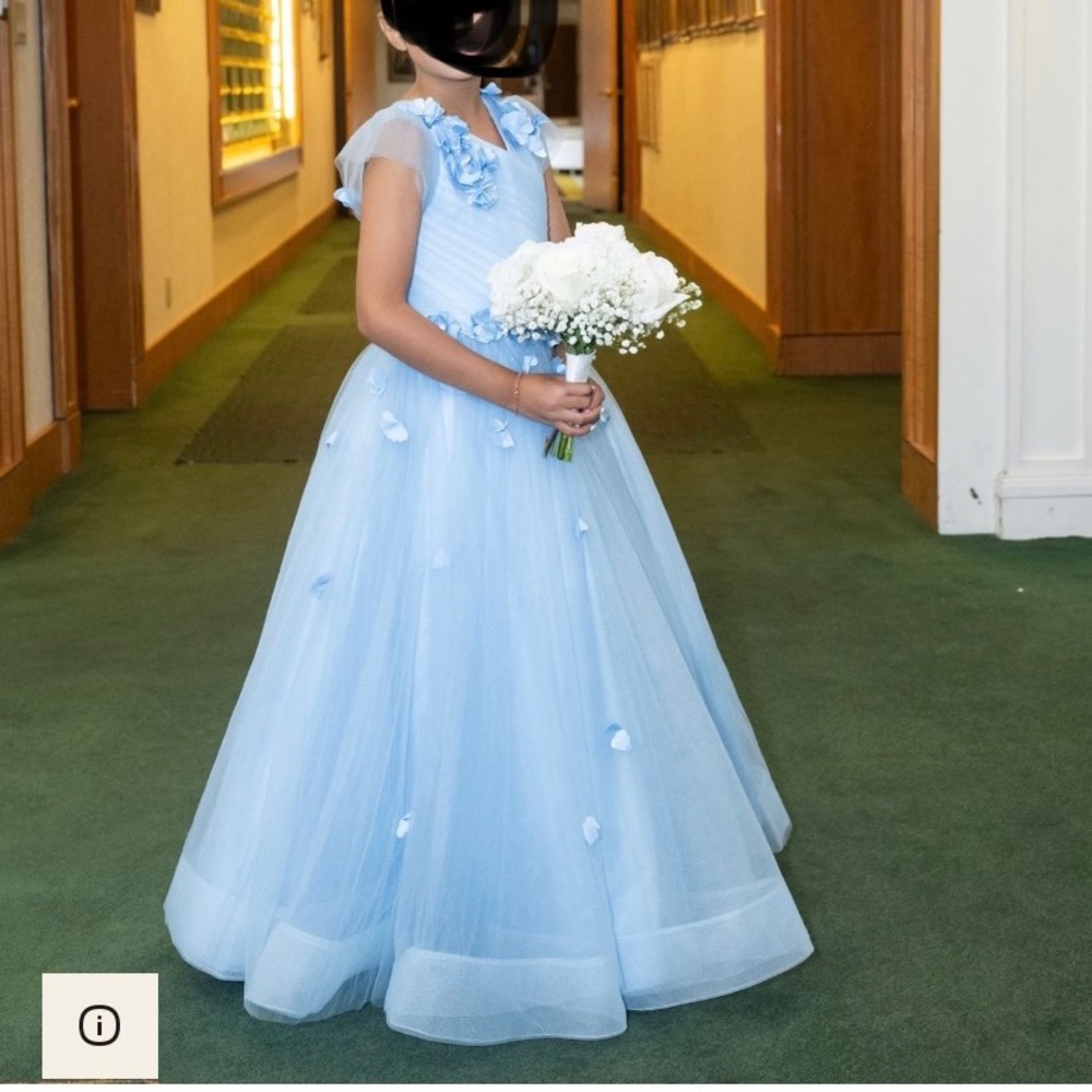 Beautiful Dress Girl size 8
